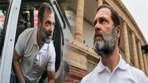 Defamation case: ಮಾನಹಾನಿ ಕೇಸ್ ವಿರುದ್ಧ ಮೇಲ್ಮನವಿ ಸಲ್ಲಿಸಲಿರುವ Rahul Gandhi