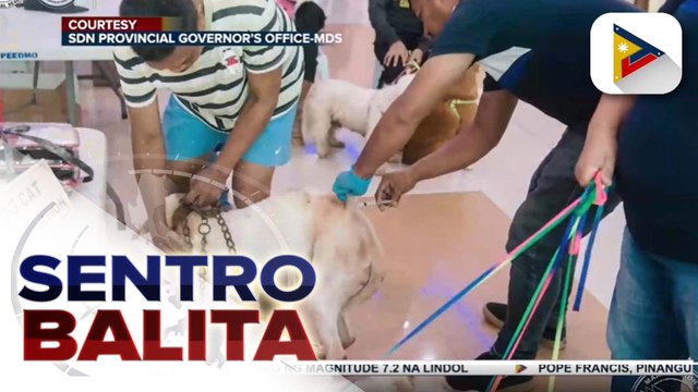 Malawakang bakunahan vs. rabies, isinagawa sa Surigao Del Norte kasabay ng Rabies Awareness Month