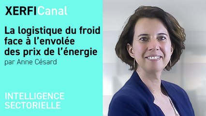 La logistique du froid face à l’envolée des prix de l’énergie [Anne Césard]
