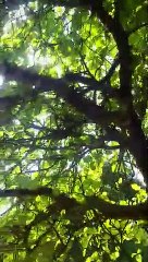 Bissa Valley Waterfall | Simli dam lake