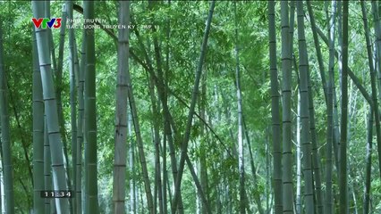 bắc lương truyền kỳ tập 11 - VTV3 Thuyết Minh - Phim Trung Quốc - xem phim bac luong truyen ky tap 12