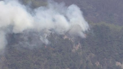 금산·대전 산불 진화율 81%...강풍 영향 진화 속도 '주춤' / YTN