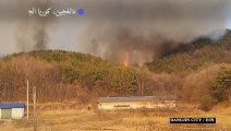 حرائق غابات في كوريا الجنوبية بعد فترة جفاف