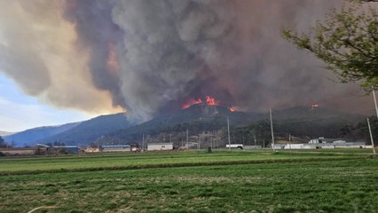 전남에서 산불 잇따라..."대응 2단계 발령" / YTN
