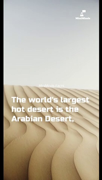 Arabian Desert