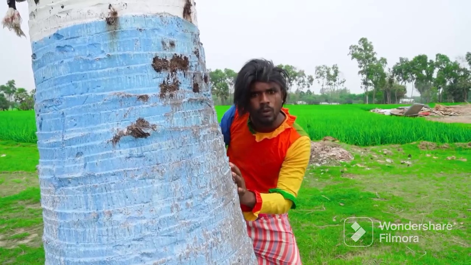 MOST FUNNY VIDEO /ENTERTAINMENT VIDEO