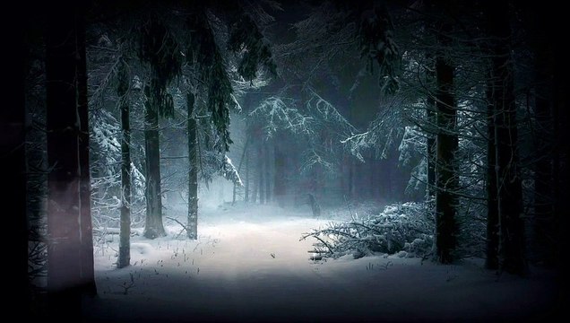 Relaxing Snow Falling Sound - Winter Nature Video #naturesound #snowfalling