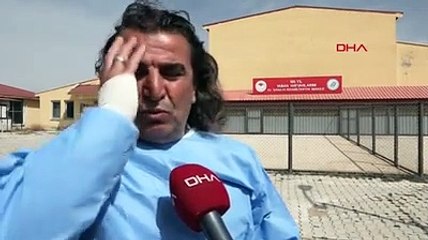 Nesli tehlike altındaydı, Muş'ta ortaya çıktı