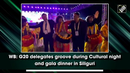 Download Video: G20 delegates dance during cultural night and gala dinner in Bengal