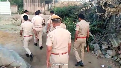 Descargar video: अजमेर-उदयपुर रेंज के 6000 से अधिक पुलिसकर्मियों की 1068 टीमों ने दी दबिश, 4255 बदमाश पकड़े