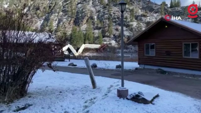 ABD'de yük treni raydan çıktı, vagonlar nehre devrildi