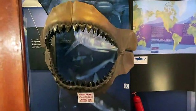 VLOG ● МОЖНО ПЛЫТЬ В АТЛАНТИЧЕСКИЙ ОКЕАН. НА ЭТОМ КОРАБЛЕ БЫЛ ЖАК-ИВ КУСТО. ОБЗОР КОРАБЛЯ ВИТЯЗЬ