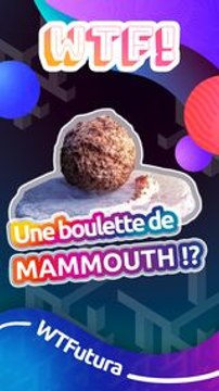 Une boulette de viande de mammouth cuisinée en laboratoire !
