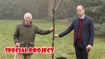 Heartbreaking story behind this photo as King Charles and William finish job on Queen's behalf