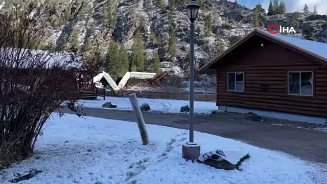 ABD'de yük treni raydan çıktı, vagonlar nehre devrildi