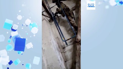 Киев заявляет, что силы РФ "очень далеки" от захвата Бахмута