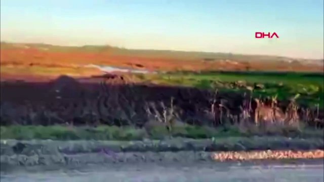 Diyarbakır’da tarlaya giren domuz sürüsü kamerada