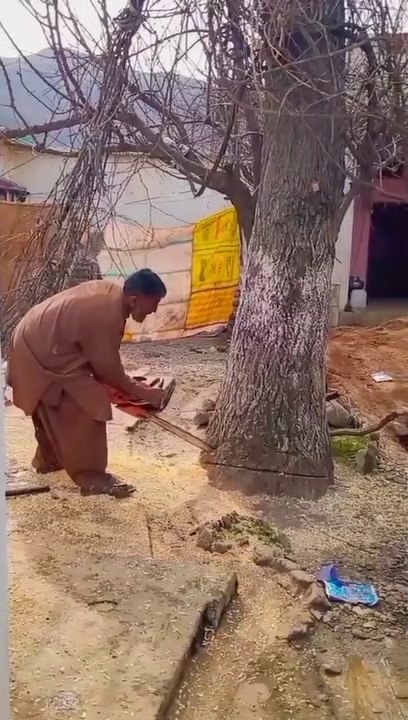 Tree cutting funny video