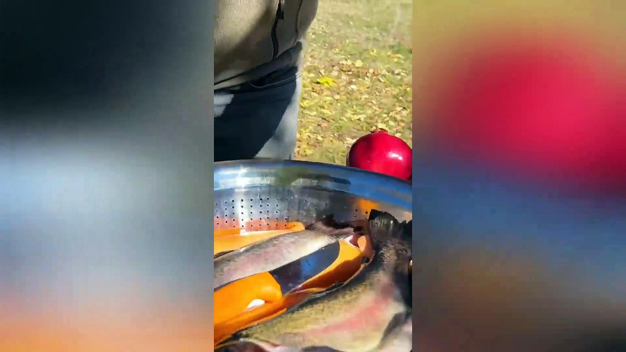 Mountain Hermits Catch Big and Delicious Fish! Cooked the Perfect Dinner. ASMR Relaxing in Nature