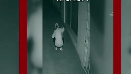 Yavru köpeği eziyet edip öldüren saldırgan barınakta görev yapma şartıyla serbest