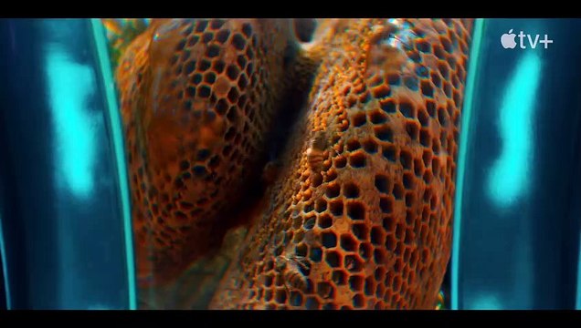 Jane - saison 1 Bande-annonce VO