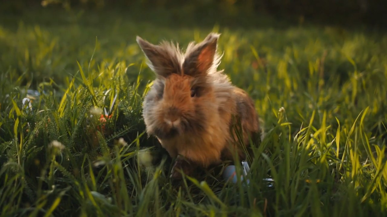 All things Easter in Manchester: We ask locals what about their Easter traditions and chocolate eggs
