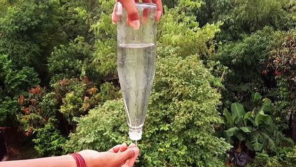 Simple 11 science experiments to do at home