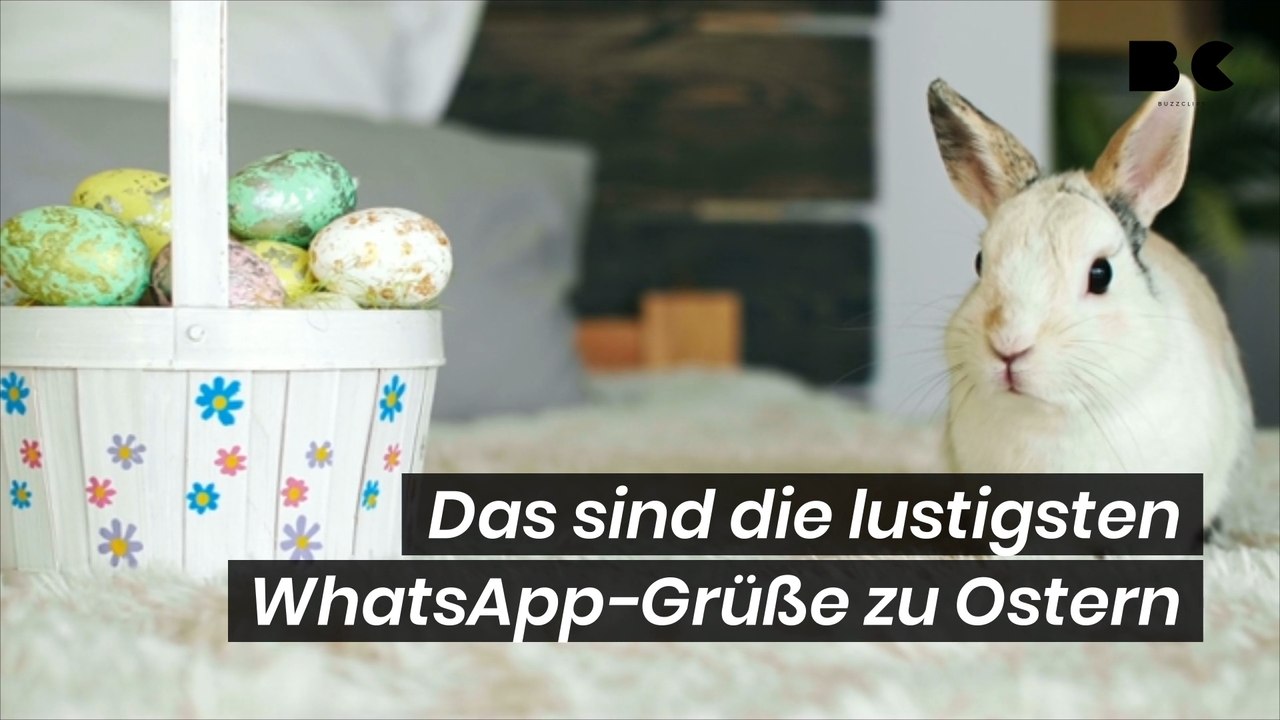 Das sind die lustigsten WhatsApp-Grüße zu Ostern