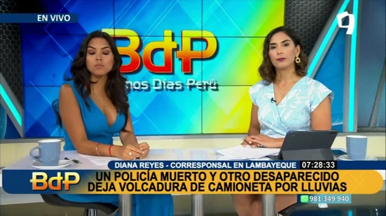 La Molina: vecinos denuncian que zorros se han comido al menos 10 de sus gatos