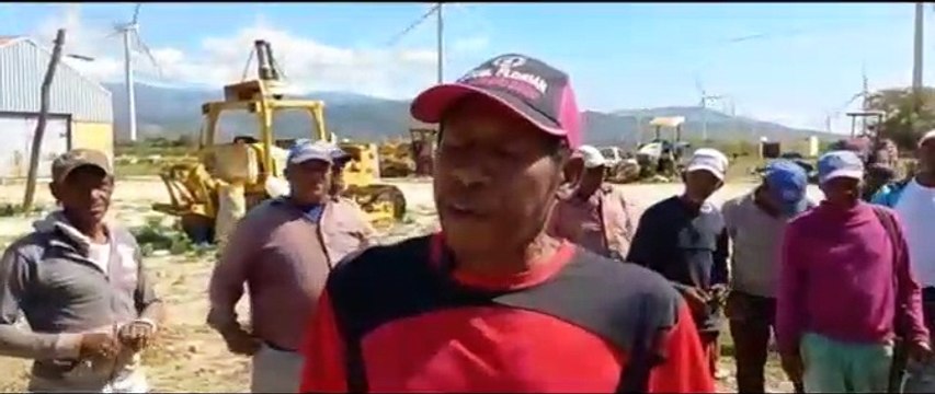 Trabajadores de proyecto agrícola del Valle reclaman pago de salarios