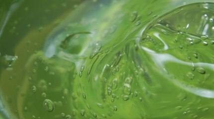 The Real Benefits of Aloe Vera for Hair, According to Experts