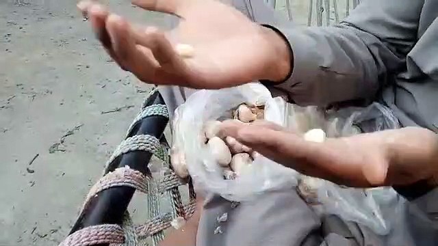 Internal benefits Of Vegitables