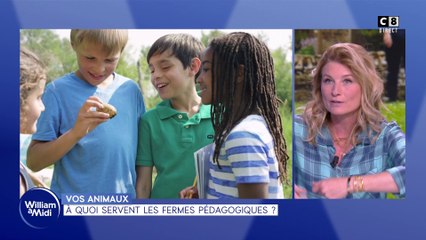 Vos animaux : À quoi servent les fermes pédagogiques ?