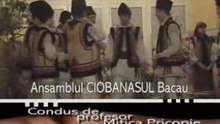 Dansuri populare 2