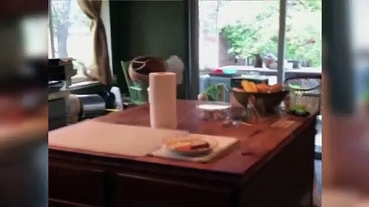 Squirrel Gets Into House - Funny Animals Channel