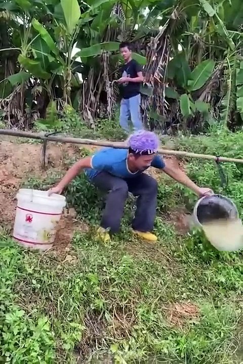 AWW NEW FUNNY  Funny Videos #01