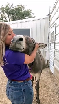Cet âne est un âne heureux... oh oui