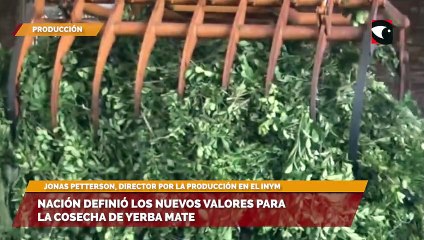 Nación definió los nuevos valores para la cosecha de yerba mate