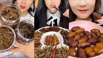 ASMR Chinese YUMMY FOOD——Insect Delicacy, Chinese Food Eating, Yummy Food, Spicy Food.
