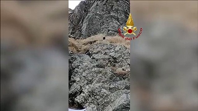 Tragedia sulle Apuane, donna cade e muore. Recuperato vivo uno dei cani