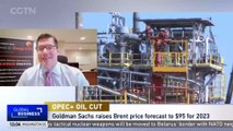 'OPEC's concern is that there is too much supply on the market'