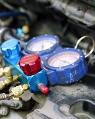 اعراض تلف الرداتير