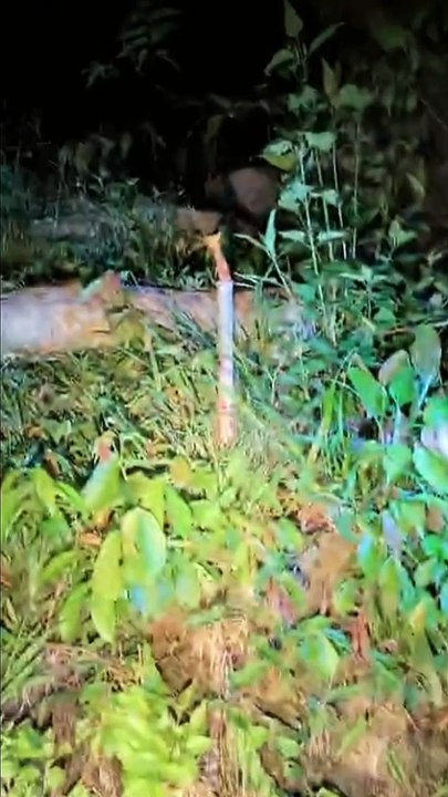 Paranormal activity ghost on camera part 119