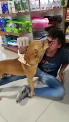 Reencontro entre cachorrinho e tutor viraliza nas redes