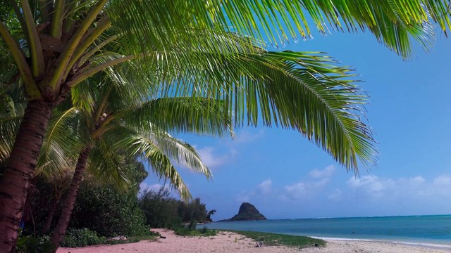 'Vaiana': anuncio del remake por parte de Dwayne Johnson