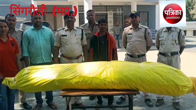 Hemp plants were planted in courtyard of house, police seized