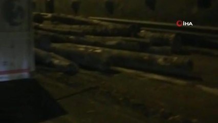 Bolu Dağı Tüneli'nde tomruk yüklü kamyon devrildi