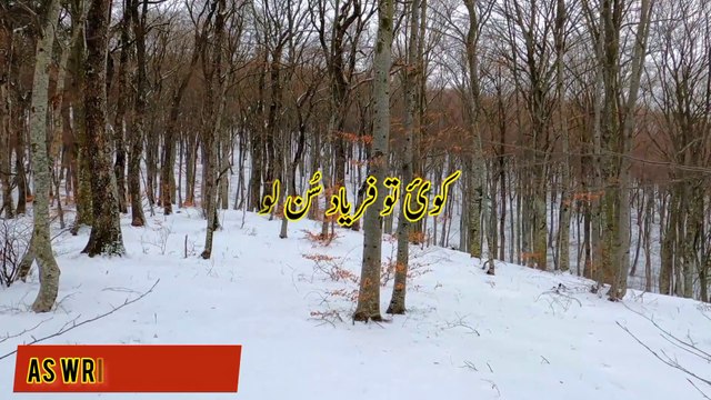 Mera Watan Pakistan Hai|Mera watan qarzoon mein doba hai