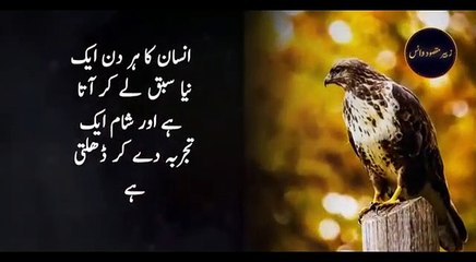 16. ایسی باتیں جو اپ اپنی اندر ڈال لوو تو زندگی آسان ہو جاۓ گی