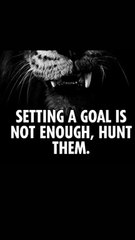 setting a goal not enough, hunt them